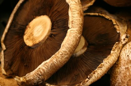 Portabella Mushrooms with Couscous & Greens