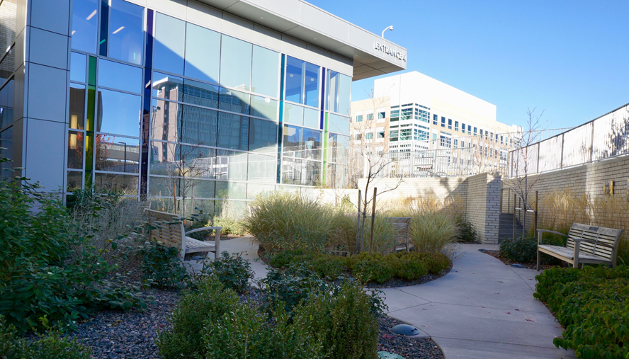 Hospital courtyard and garden