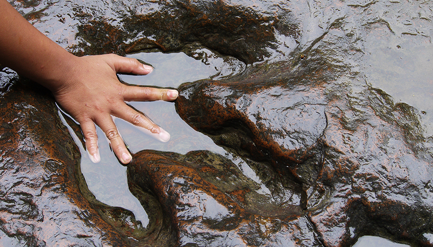 Child's hand in a dinosaur footprint.