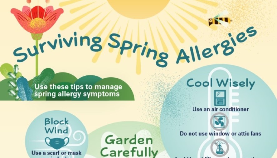 spring allergies infographic
