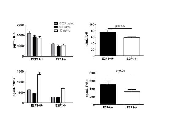 figure 5b