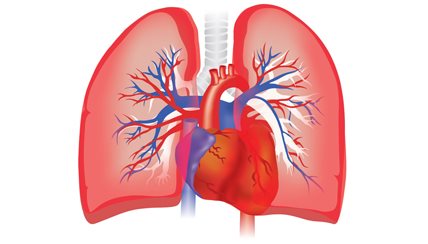 lung image