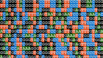 bioinformatics