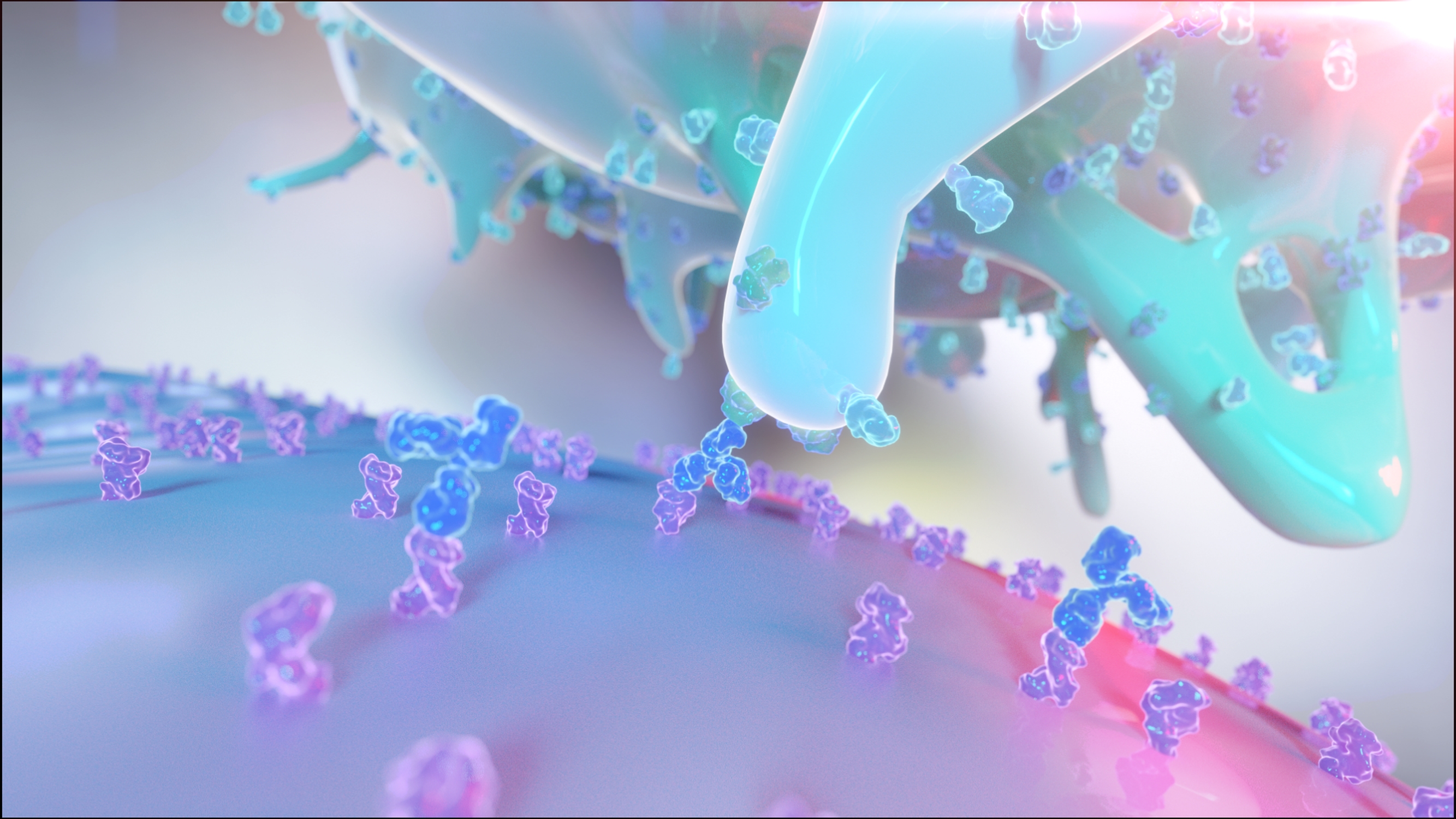 flow cytometry