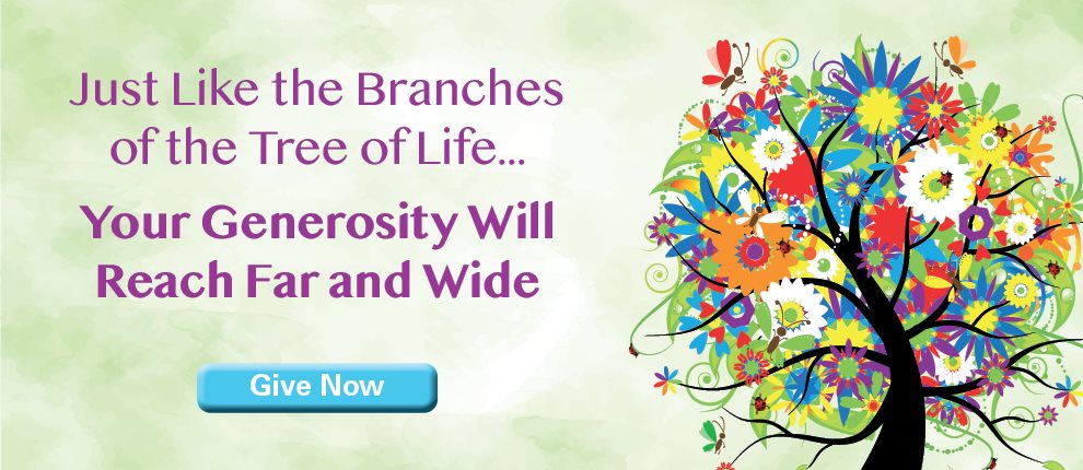 Make a Donation Modal Image